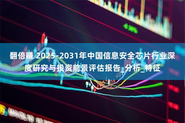 翻倍赚 2025-2031年中国信息安全芯片行业深度研究与投资前景评估报告_分析_特征