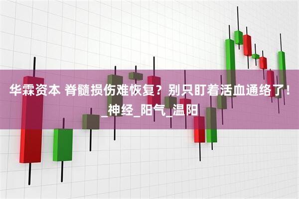 华霖资本 脊髓损伤难恢复？别只盯着活血通络了！_神经_阳气_温阳