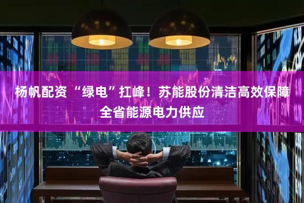 杨帆配资 “绿电”扛峰！苏能股份清洁高效保障全省能源电力供应