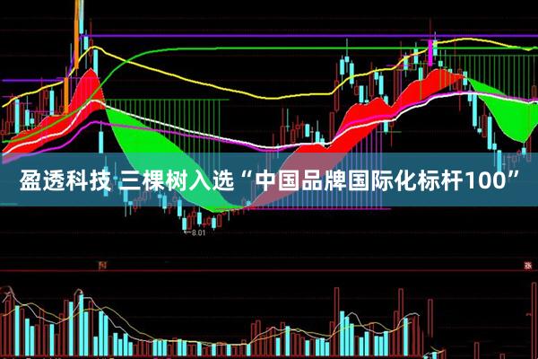 盈透科技 三棵树入选“中国品牌国际化标杆100”
